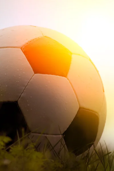 Photo of a soccer ball on grass — Stock Photo, Image