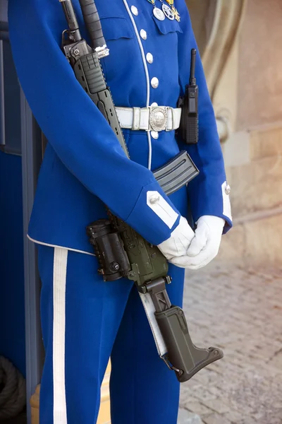 Guardia Real en el Palacio Real de Estocolmo — Foto de Stock