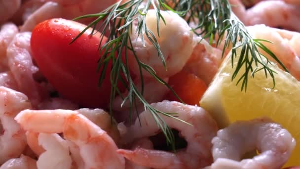 Salad Shrimp Close — Stock Video