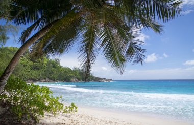 hayaller Adası. dinlenme ve rahatlama.