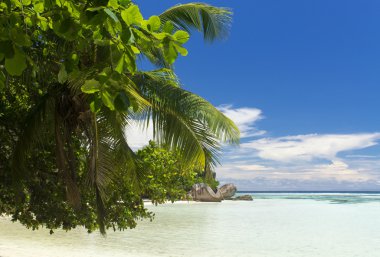 hayaller Adası. dinlenme ve rahatlama.