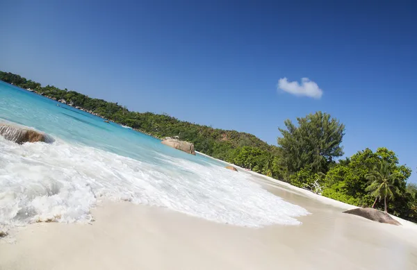 The island of dreams. Rest and relaxation. White coral sand and — Stock Photo, Image