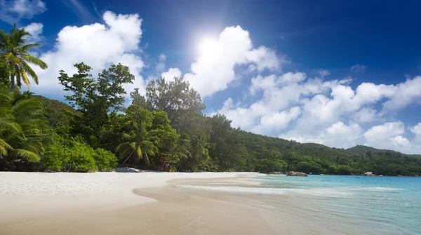 L'île des rêves. Repos et détente . — Photo