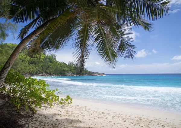 L'isola dei sogni. Riposo e relax . — Foto Stock