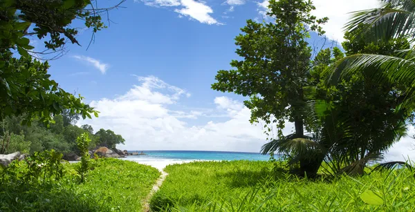 Het eiland van dromen. wit koraal zand en azuurblauwe Indische Oceaan. — Stockfoto