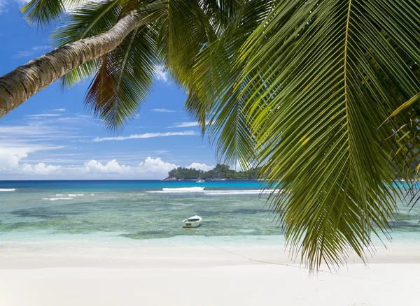 White coral beach sand and azure indian ocean. — Stock Photo, Image