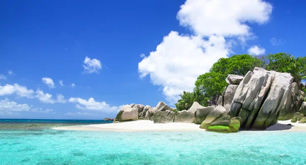 White coral sand on tropical beach.