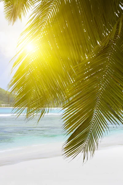 Wit koraal strand zand en azuurblauwe Indische Oceaan. Stockfoto