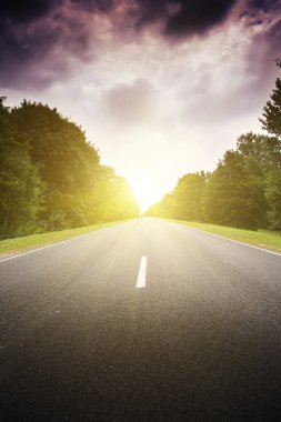 asfalt yol yeşil orman.