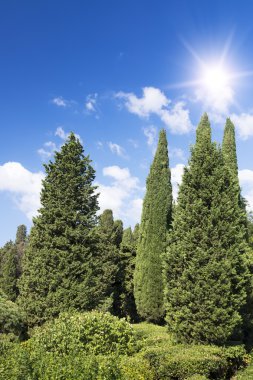 Kont m.w.vorontsov yeşil park Sarayı. Ukrayna. Kırım.