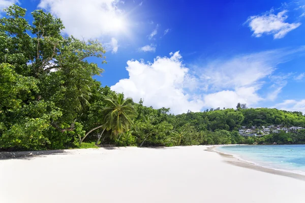 Spiaggia di corallo bianco sabbia e azzurro oceano indiano . — Foto Stock