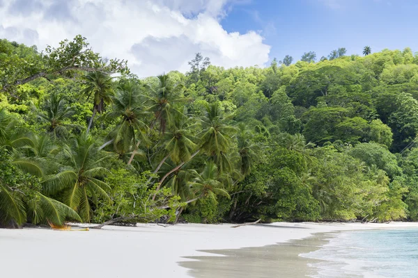 백색 산호 해변 모래와 푸른 인도양. — 스톡 사진