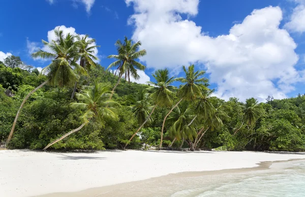 Spiaggia di corallo bianco sabbia e azzurro oceano indiano . — Foto Stock