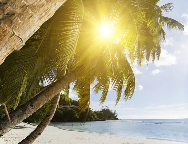 Vit coral beach sand och azurblå Indiska oceanen. — Stockfoto