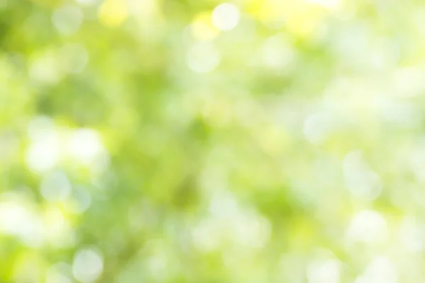 yeşil ışık arka plan