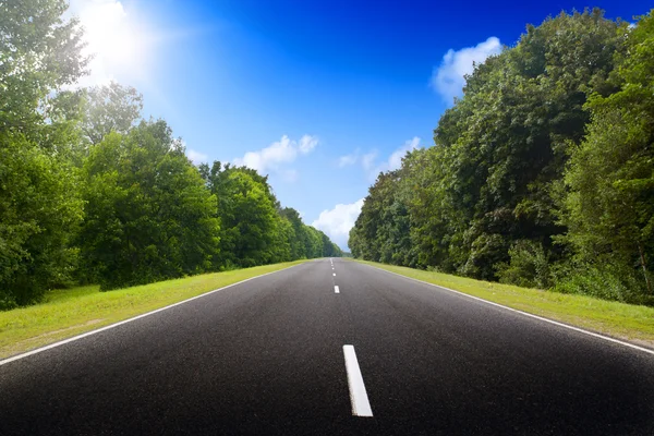 Estrada de asfalto na floresta verde . — Fotografia de Stock