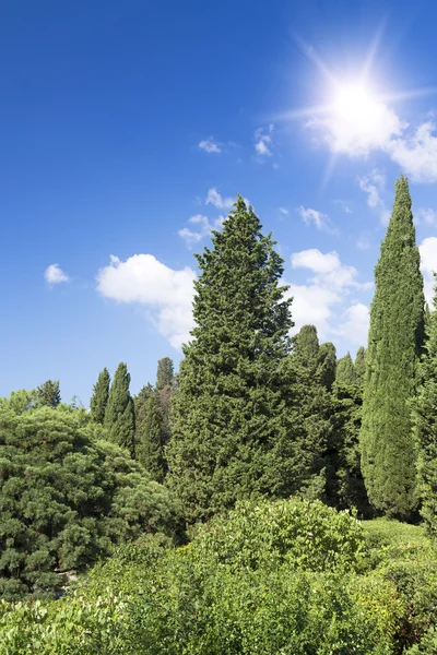 Slotten av greve m.w.vorontsov grön park. Ukraina. Krim. — Stockfoto