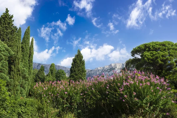 The Palace of count M.W.Vorontsov green park. Ukraine. Crimea. — Stock Photo, Image