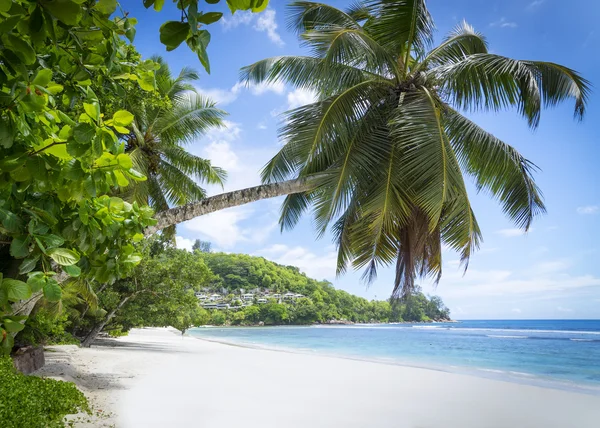 Wit koraal strand zand en azuurblauwe Indische Oceaan. Rechtenvrije Stockfoto's