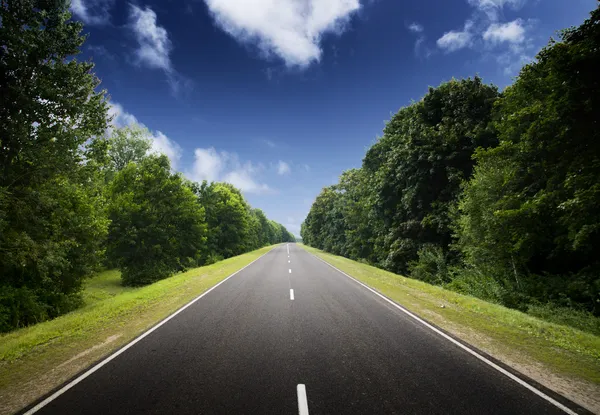 Drumul asfaltului în pădurea verde . — Fotografie, imagine de stoc