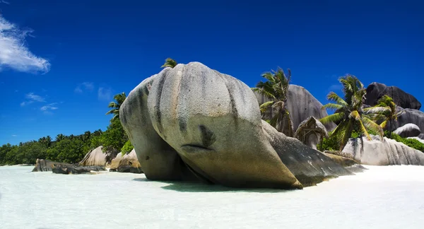 White coral beach sand and azure indian ocean. — Stock Photo, Image