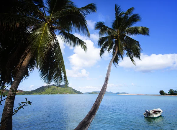 Arena de playa de coral blanco y océano Índico azul . — Foto de Stock