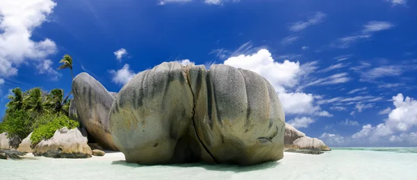 Spiaggia di corallo bianco sabbia e azzurro oceano indiano . — Foto Stock