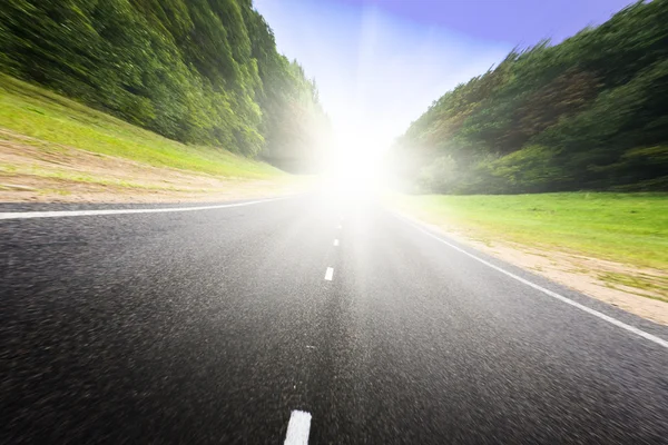 Asphalt road in green forest. — Stock Photo, Image