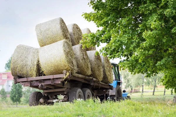 Jordbrukare skörda hö — Stockfoto