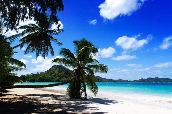 백색 산호 해변 모래와 푸른 인도양. — 스톡 사진