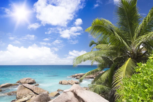 White coral sand on tropical beach. — Stock Photo, Image