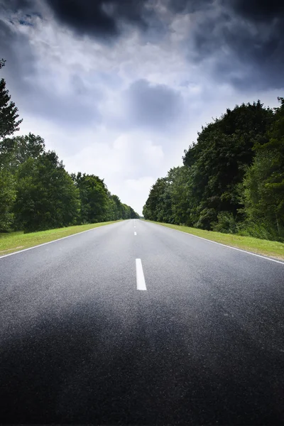 Asphalt road in green forest. — Stock Photo, Image