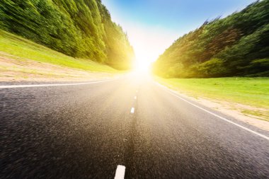 asfalt yol yeşil orman.