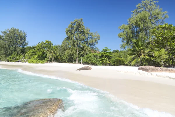 Sable corail blanc sur plage tropicale . — Photo