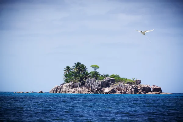 Spiaggia di corallo bianco sabbia e azzurro oceano indiano . — Foto Stock