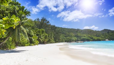 Beyaz mercan kum ve masmavi okyanus plaj. Seychelles adaları.