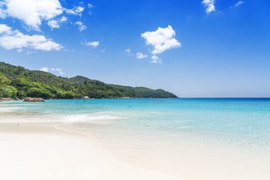 Beyaz mercan kum ve masmavi okyanus plaj. Seychelles adaları.