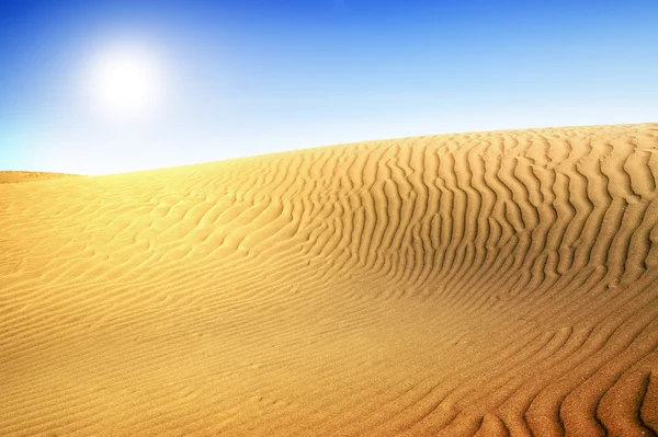 Bellissima duna di sabbia. Deserto d'oro . — Foto Stock