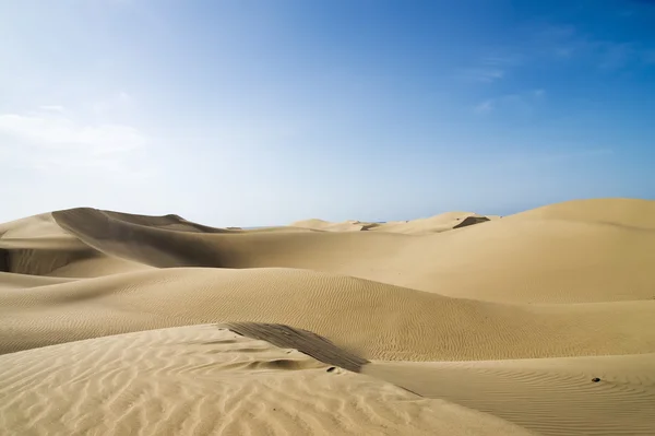 Hermosa duna de arena. Desierto dorado . — Foto de Stock