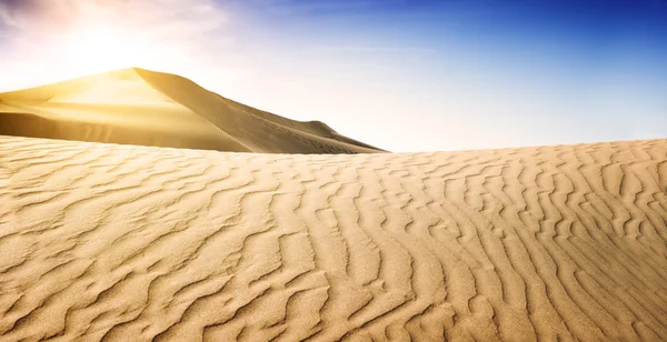 Linda duna de areia. Deserto de ouro . — Fotografia de Stock