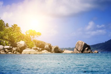 tropik kumsalda beyaz mercan kum. La digue Adası, seyshelles.