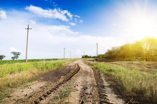 Landschap van wegnaar trekker spoor in zonsondergang — Stockfoto