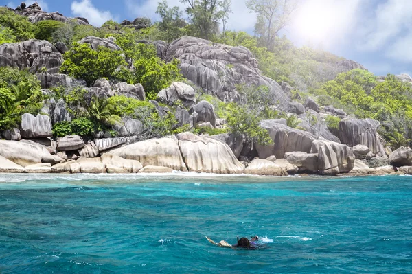 Un buceador en un arrecife de coral de la isla con tortuga. Seychelles . —  Fotos de Stock