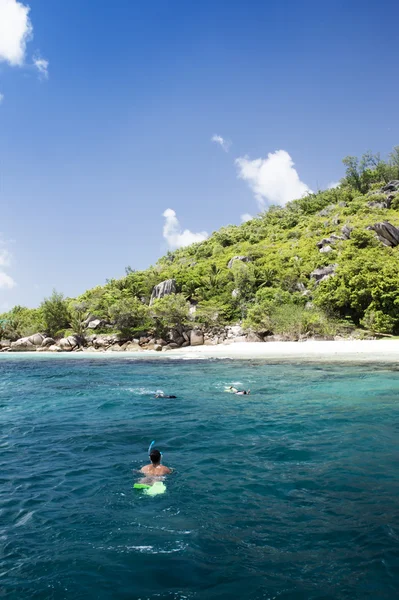 Ένας καταδύτης σε ένα νησί κοραλλιών με χελώνα. Σεϋχέλλες. — Φωτογραφία Αρχείου