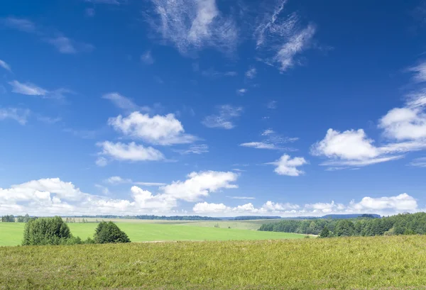 Vackert grönt fält — Stockfoto