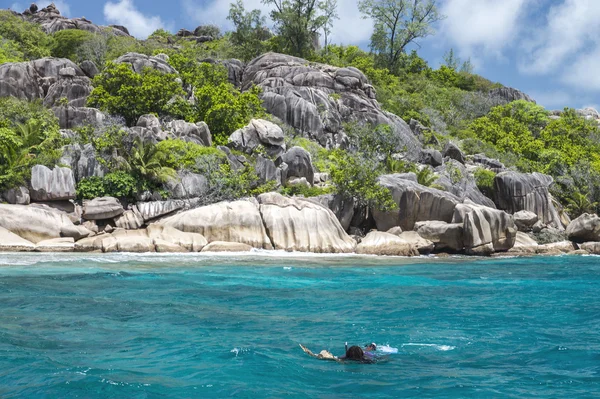 Kaplumbağa ile bir ada mercan adlı bir snorkeler. Seyşel Adaları.