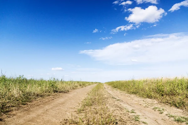 Landscape of road with tractor track in green field — Stock Photo, Image