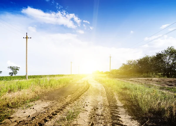 Landscape of road with tractor track in sunset — Stock Photo, Image