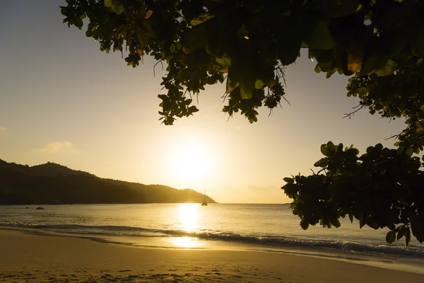 Ostrov Mahé, Seychely. Sunset beach. dlaně. — Stock fotografie