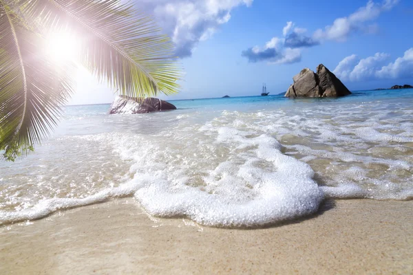 White coral sand on tropical beach. La Digue island, Seyshelles. — Stock Photo, Image